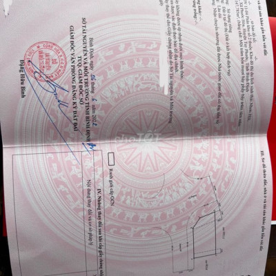 Cơ hội sở hữu lô góc 148m2 với view biển đẹp tại Nhơn Hội New City!