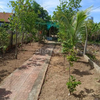 3 lô đất liền kề cần chủ mới -kdc hoà cư nhơn hưng