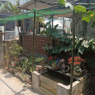 Nhà quê vườn rộng cho thuê dài hạn. Thích hợp hộ gia đình