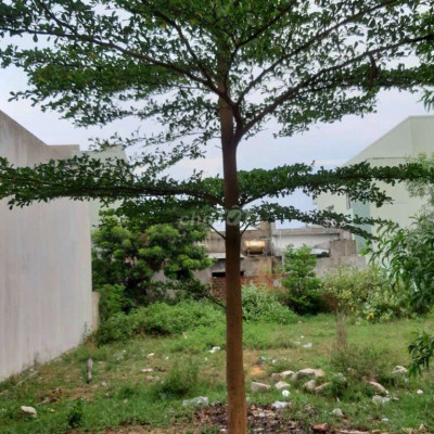 Đất 150m2 - 6 x 25 - Đường 12M .Khu TĐC Nhơn Hội .Ngay Ủy Ban