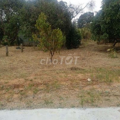 Tôi chính chủ cần bán lô đất 255m2 Trần Tôn Thất Hoài Xuân Hoài Nhơn