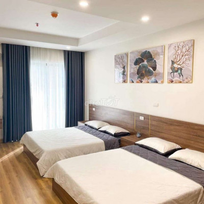 Cho thuê căn hộ chung cư TMS giá rẻ 5.5tr