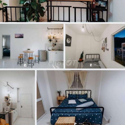 Cho thuê căn góc chung cư Long Thịnh ,tp Quy Nhơn