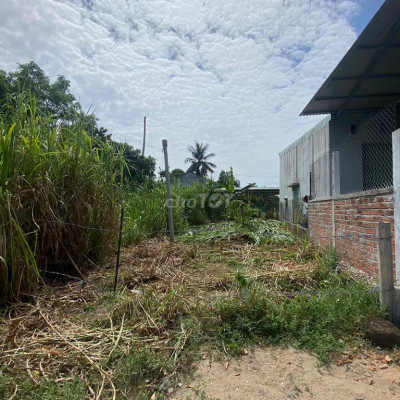 Đất Cát Trinh Phù Cát.