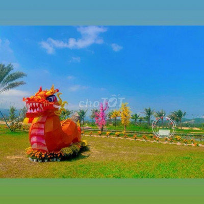 Cần bán lô đất biển phía Bắc Bình Định suất đầy tư chỉ 400 triệu