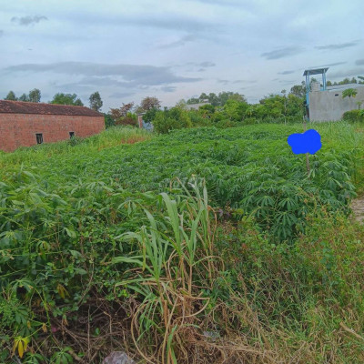 Bán đất thổ cư 240m2(5m×48m) giá 700 triệu đồng ở Tây Sơn, Bình Định