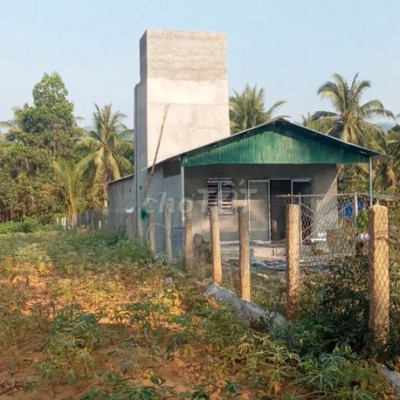 Cần bán 2 miếng đất liền kề, trên đất có sẵn nhà.