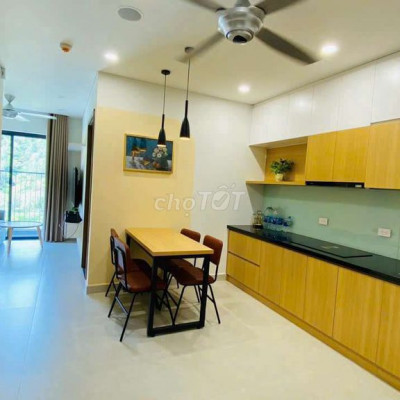 Cho thuê chung cư Calla, gần siêu thii Go, Quy Nhơn, Bình Định