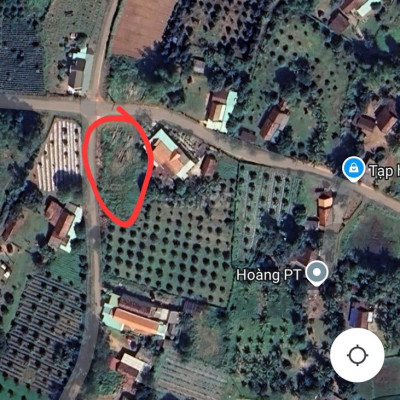 Cho thuê đất canh tác nông nghiệp