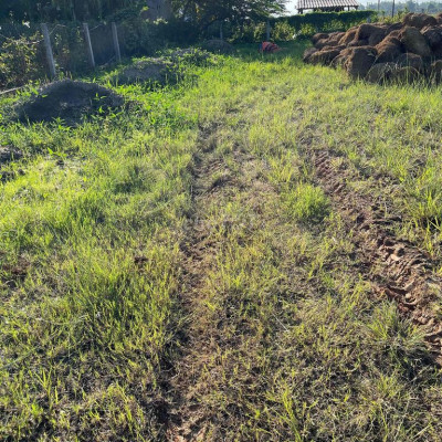 cho ttue dài hạn. mở xưởng. kho. quán vườn. cty đều ok