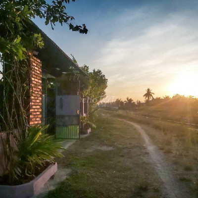 Nhà vườn có Sổ đỏ 670m2 H.Phù Cát, Tỉnh Bình Định