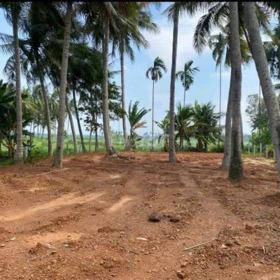 Bán lô đất 511,1m2( Thổ cư 100m2) giá 960 triệu đồng ở Bình Định