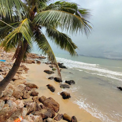 Chính chủ bán172.8m2 full thổ giáp biển (cách 1 căn) Mỹ Thọ, Phù Mỹ