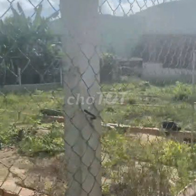 CHO THUÊ BÁN ĐẤT TẠI NHƠN BÌNH VÀ LONG MỸ