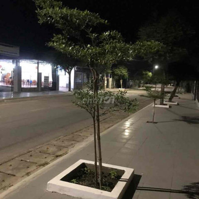 cho thuê đất đường tỉnh lộ gần ubnd xã hoài châu bắc