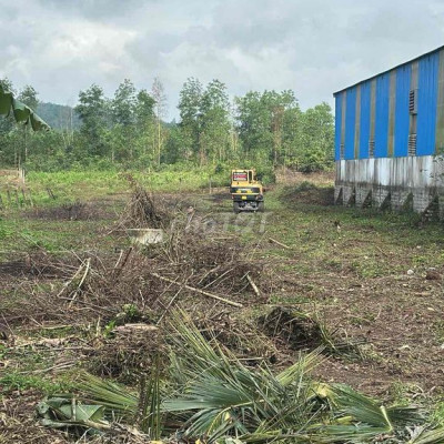 Đất 200m2 thổ cư diện tích hơn 7000m2 chính chủ lâu đời