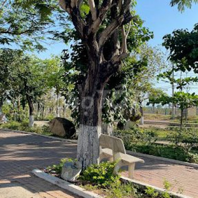 BÁN NHÀ MẶT TIỀN TỐ HỮU- ĐỐNG ĐA QUY NHƠN