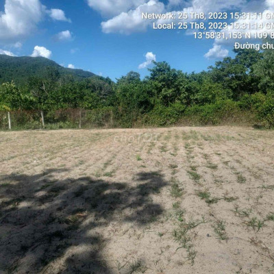 Bán lô đất Diện tích lớn , Sẵn 300m2 Thổ Cư Giá Đt