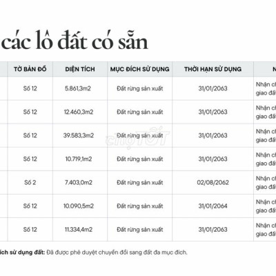 ĐẤT RỪNG ĐẮC ĐỊA TẠI CHÂN NÚI HÀM QUI, QUY NHƠN CHỈ VỚI 250 NGHÌN/M²