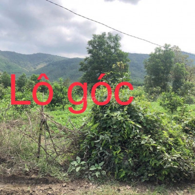 tháo lỗ nhanh lô góc 962m2 giá chỉ 260tr