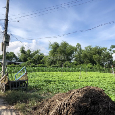 Chủ cần tiền bán gấp lôđất xã Phước An, huyện tuy Phước, 478m2.