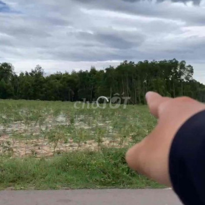 10 sào đất mặt tiền đường nhựa 62m đang trồng mì