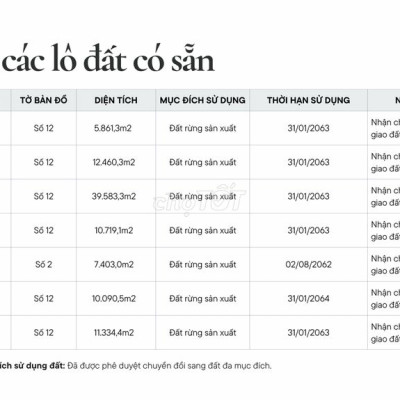 BÁN ĐẤT “RỪNG TRONG PHỐ” GIỮA LÒNG QUY NHƠN –  CHỈ TỪ 180k/m²