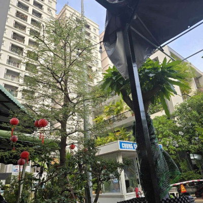 Bán chung cư noxh Hoàng Văn Thụ ( chung cư Xuân Thủy )