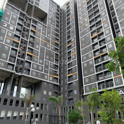 ✅ Cho thuê chung cư Lamer 2, đường Tây Sơn, Quy Nhơn