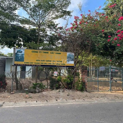 CHO THUÊ ĐẤT MẶT TIỀN cách chợ Cát Tiến 200m, gần Chùa ông núi