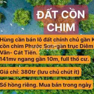 đất gần khu du lịch cồn chim - cát tiến Bình Định